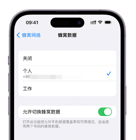 九江苹果维修服务分享如何在iPhone上使用双卡 